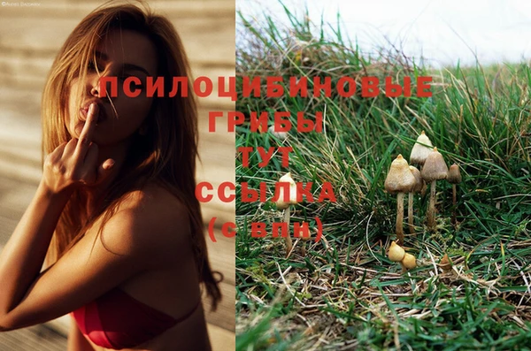 марки lsd Семилуки