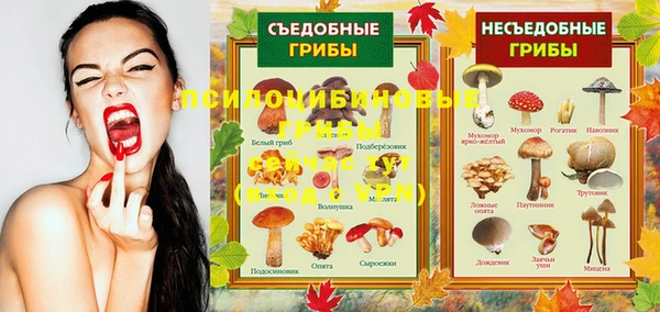 хмурый Семикаракорск