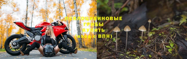 хмурый Семикаракорск